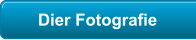 Dier Fotografie